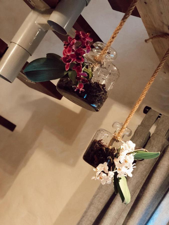 Clockhouse Cottage Saulkrasti Ngoại thất bức ảnh
